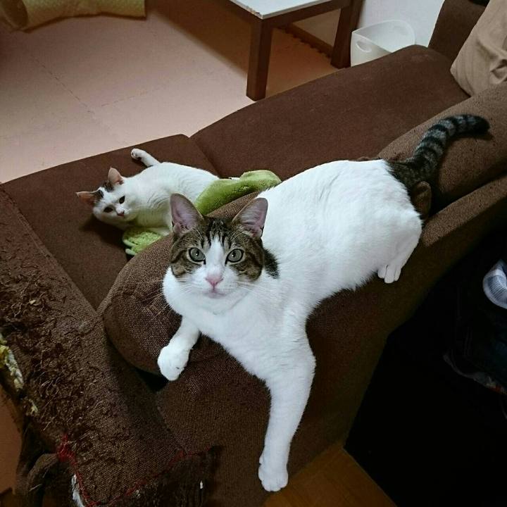 C936537a a4c5 4bbc 9641 955f2d80b261