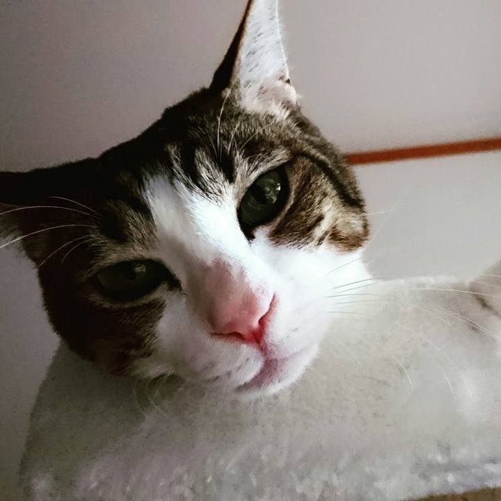 C937197c 0b45 4e3f aeba 665ad6ee2e39