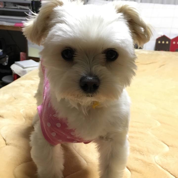 C9373612 4132 4994 850d 6fb34ee17a5d