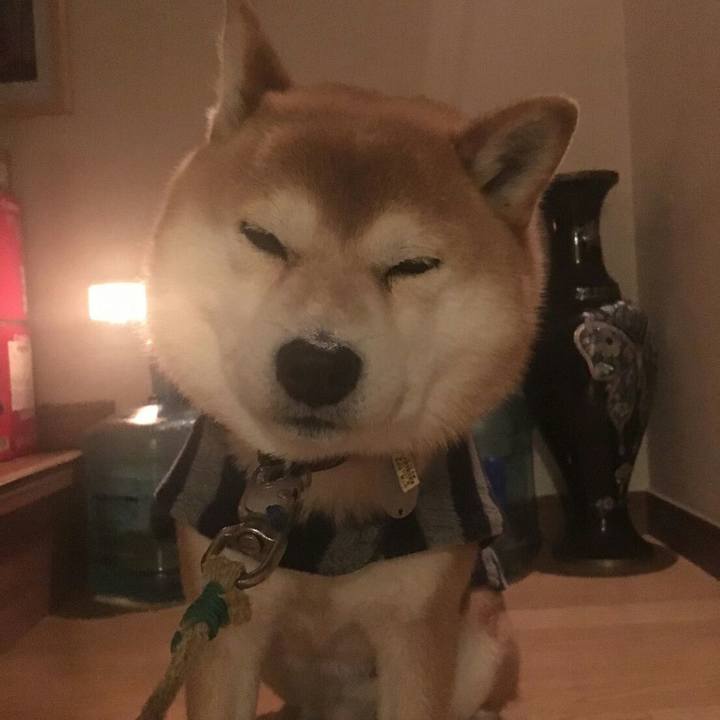 C937bb6a 14f0 44f3 98f9 f1c9be7b80eb