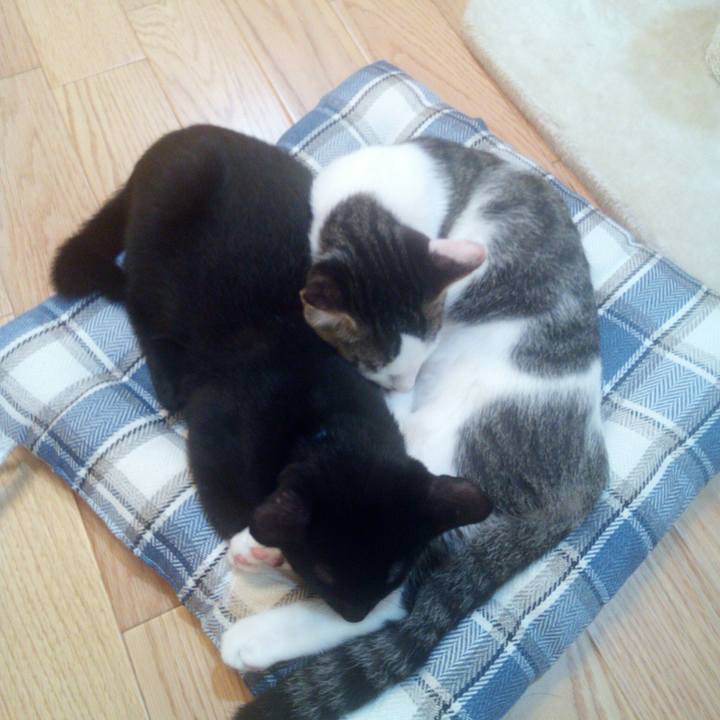 C937c43c 8baa 45f4 a7ab 62c74a4225cf