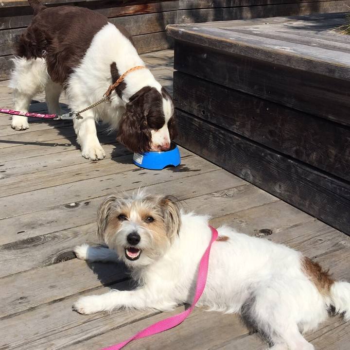 C937e7dc 33ee 46a9 858d 781b9abee72c