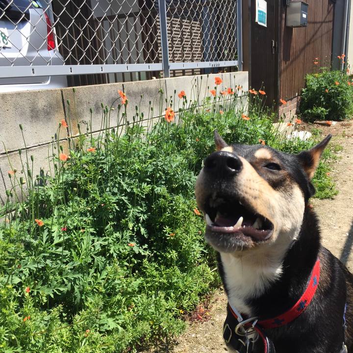 C93833c2 9092 4813 910e f9c886568140