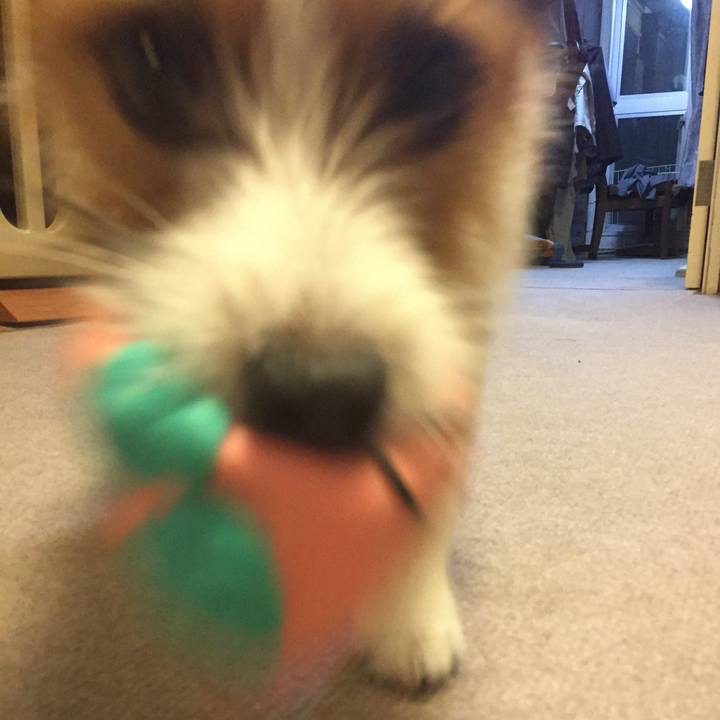 C93911a9 f308 4d69 bd00 b428c7e08e6e