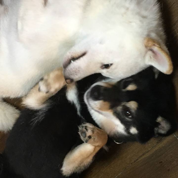 C9392cb6 9fbb 4d24 ba06 a24ad1591c73