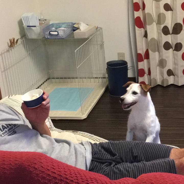 C93a3406 3589 4880 b914 1c60c92ca685