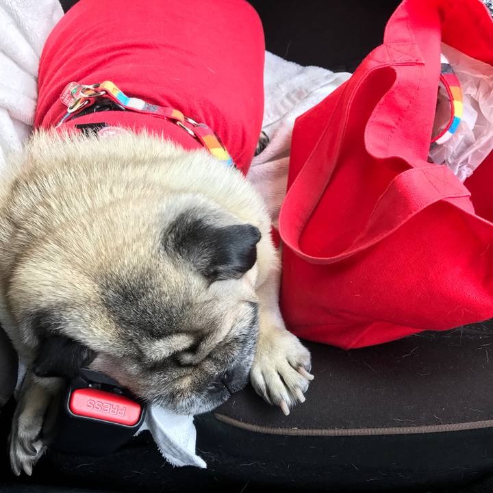 C93a555b b442 4510 9f89 8b652fbf2aaf