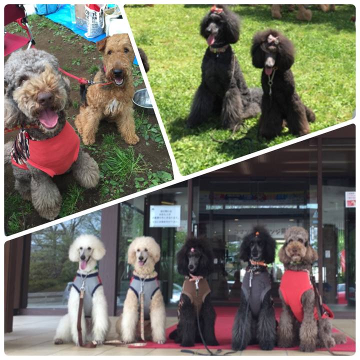 C93a9a47 d6e5 4674 b76d 6aee32aa9c79