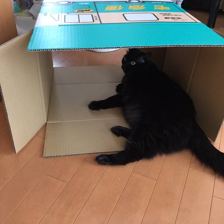 C93b155c be80 4bc5 ba45 42e9f0e39f7f