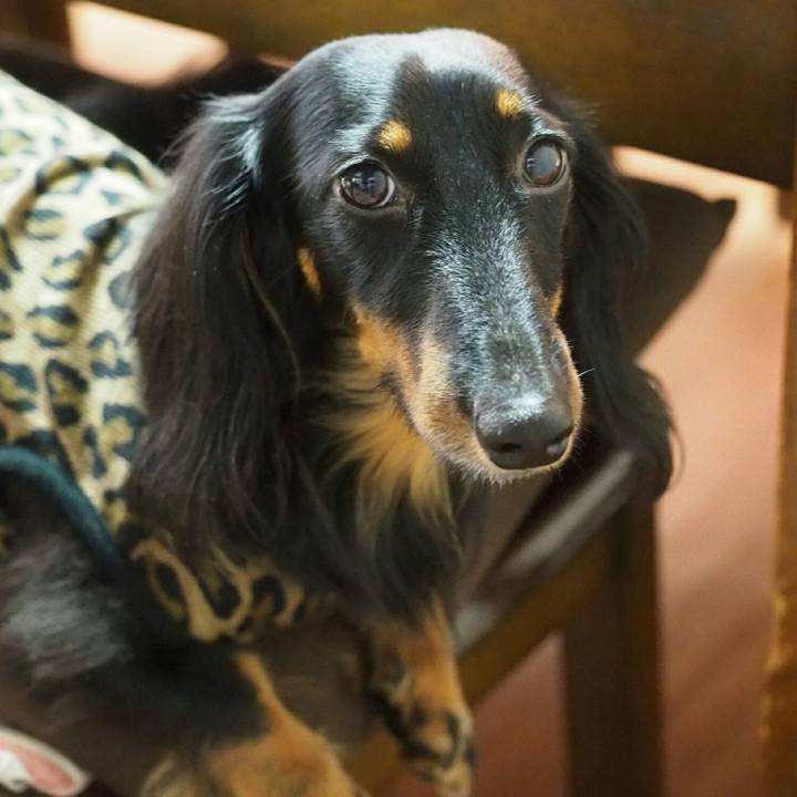 C93b177d e482 4bd8 b6d2 875853f9de7b