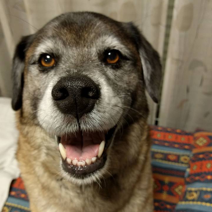 C93b2637 37c0 4afe a15c a0a0f2858ef6