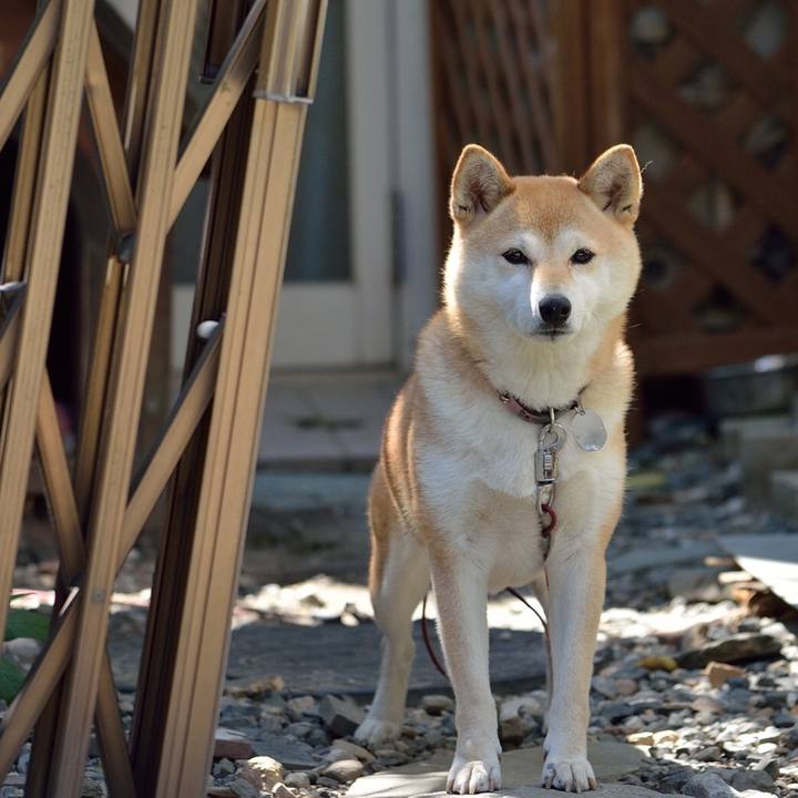 C93b5a47 1971 4087 926c fd449b9770da