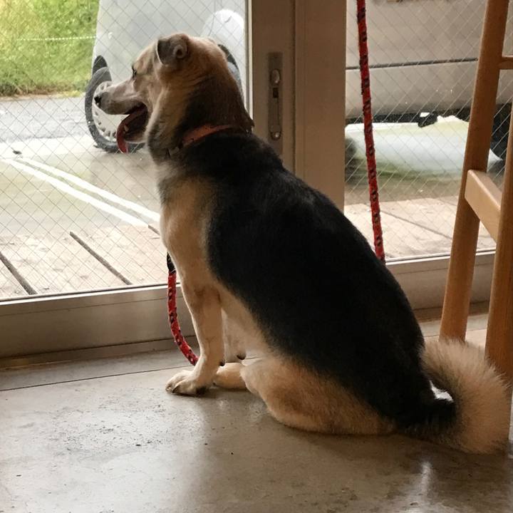 C93b8639 fb4e 4f06 a602 e1538ada9b71