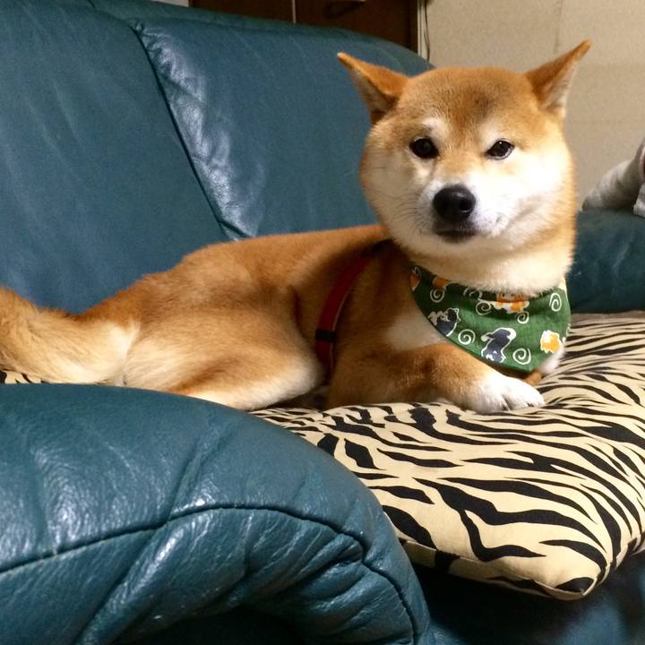 C93c0d7f d190 4670 b732 7fada69c4d2b