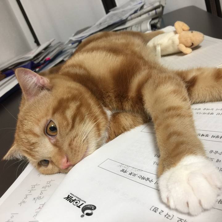 C93c625b bada 4842 85a6 bf9273d65b07