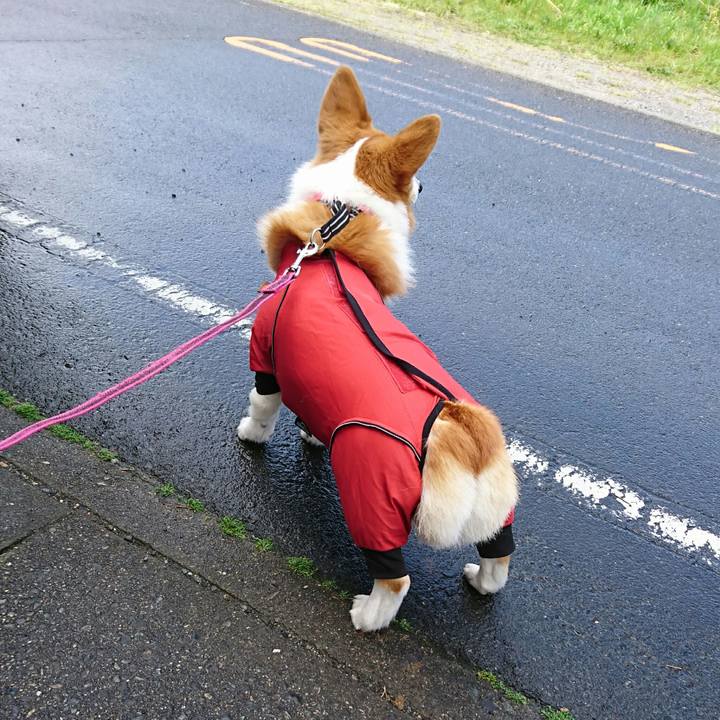 C93c7171 2421 4e2b b371 9abf6b7420f6