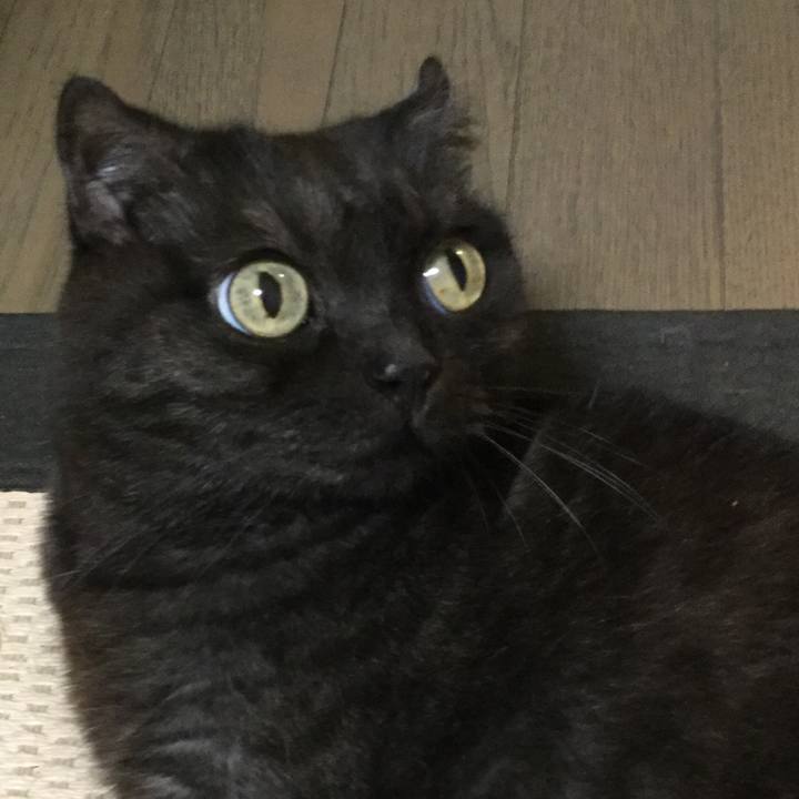 C93c95cd 97aa 4ac5 b25d 26d70459ec29