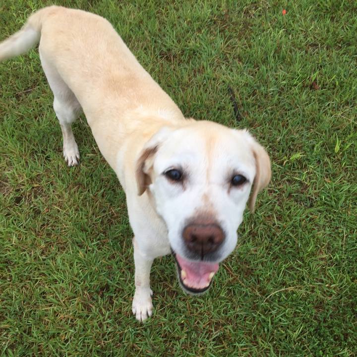 C93cbde9 8815 41bd 9af5 1eb537bc3318