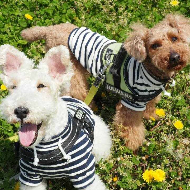 C93cd91f 0d39 4085 9ac3 81dc52e49fb1