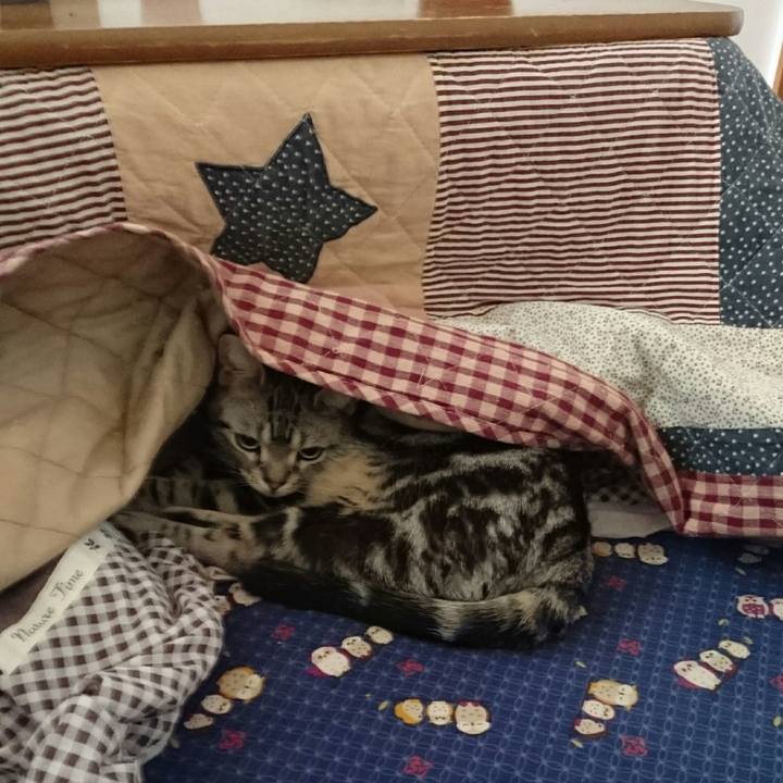 C93f0791 0d8f 4e1a 8921 959af2a08466