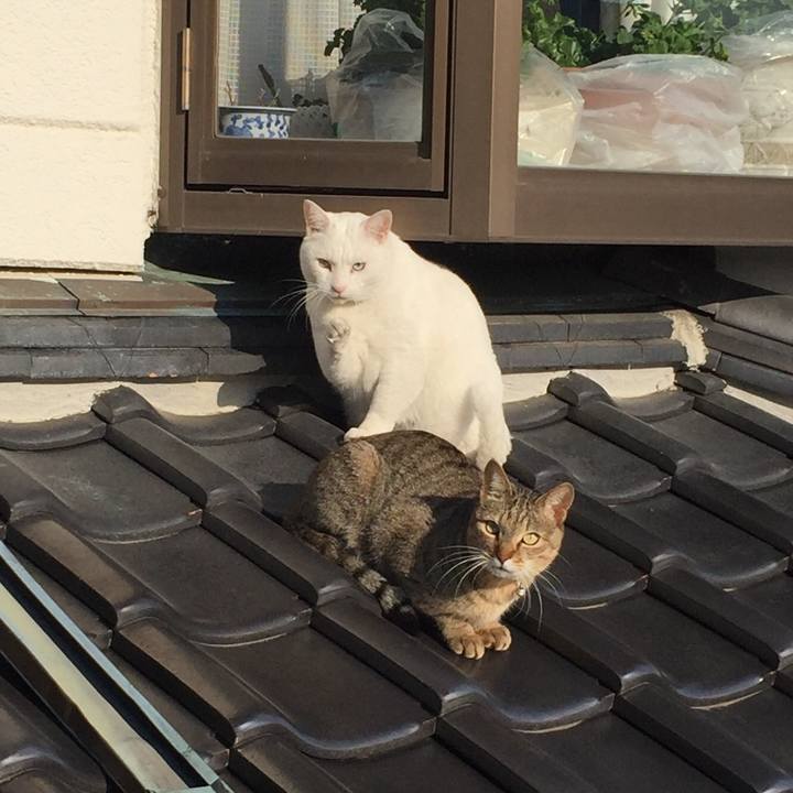 C93f37c9 8473 4d6a b179 b1981707d973