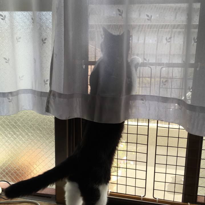 C93f6bad 3555 47c8 bc5a 7d1428ff6285