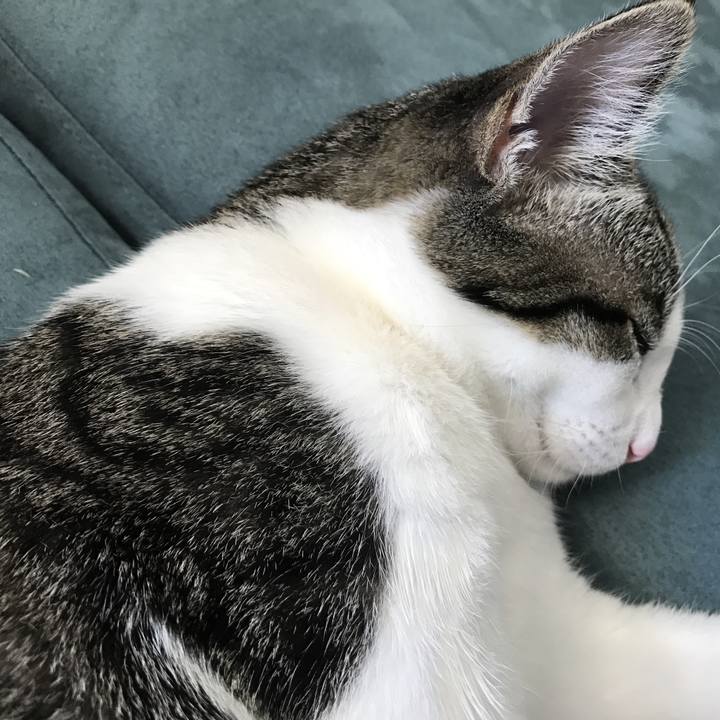 C9408437 b8de 4d2f b33c ac8527257869