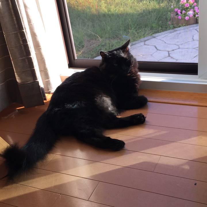 C940fda1 e14a 4bf3 8ff8 2f7c03c2a59b