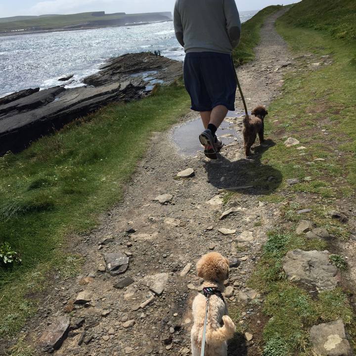 C9412051 b846 4afa b011 1b5153839802