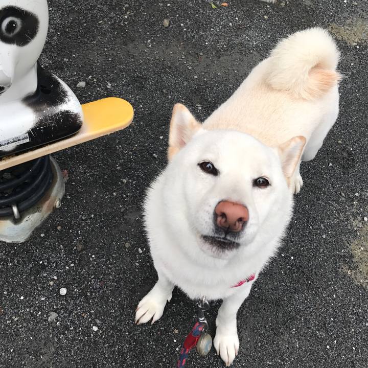 C94121d4 4537 43aa a3e1 d7c7ae2e21ee