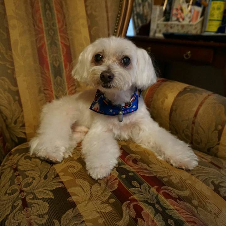 C9413e26 7189 4063 af3a 68e6928373e3