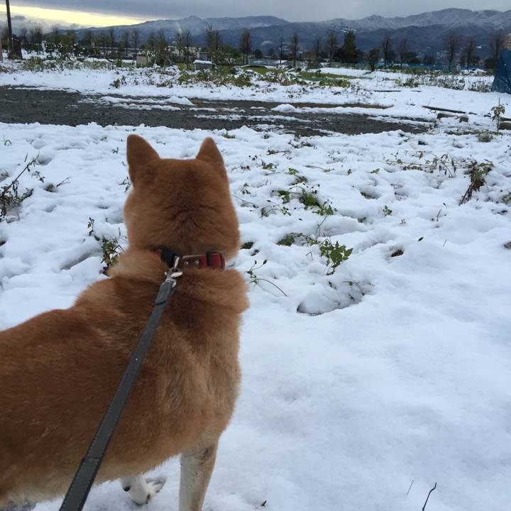 C94148a0 3a21 4317 8f7f 06d310c7f15d