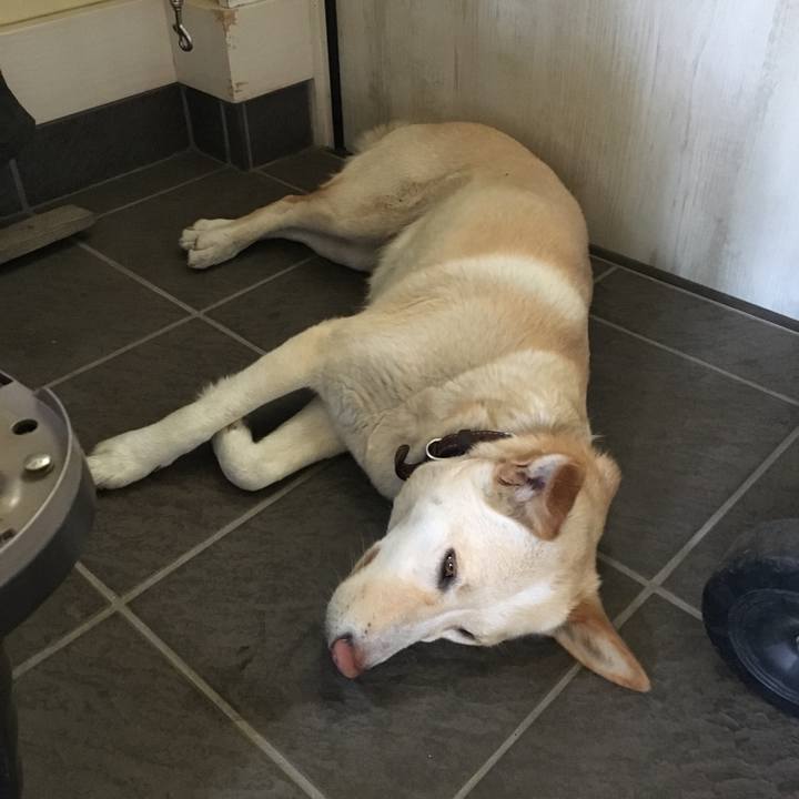 C941dbed 0555 488b ad44 2d5a2e737e32