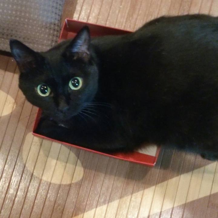 C94204d6 f4ed 4c36 b6d7 5c2fcbd27020