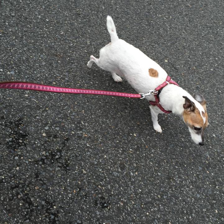 C9422e17 3ed4 4e8a af90 794e7406fe6d