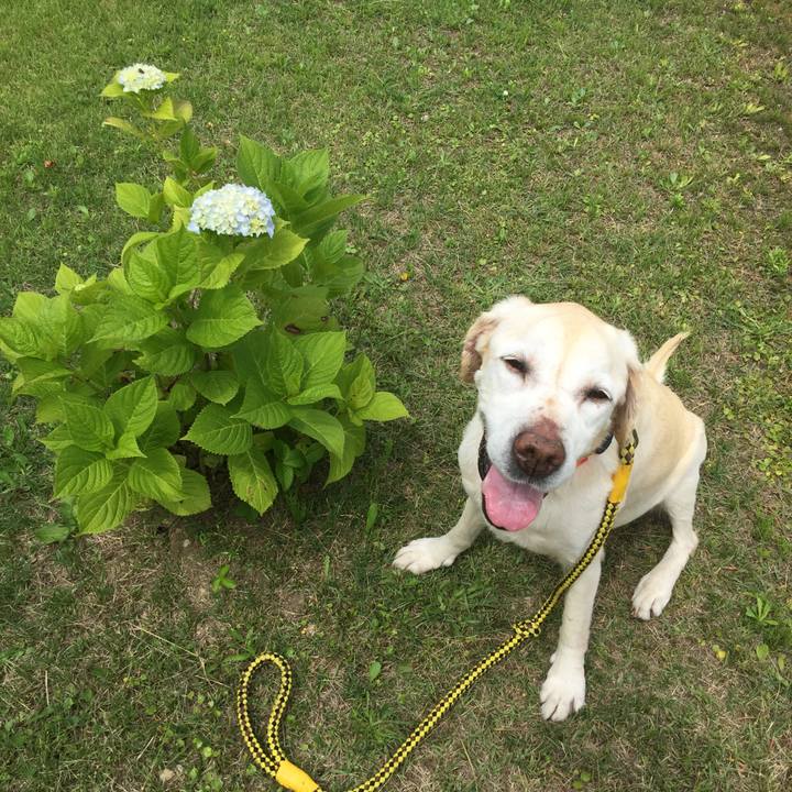 C94285f8 a220 4ce6 b90f 35d19e11ab22