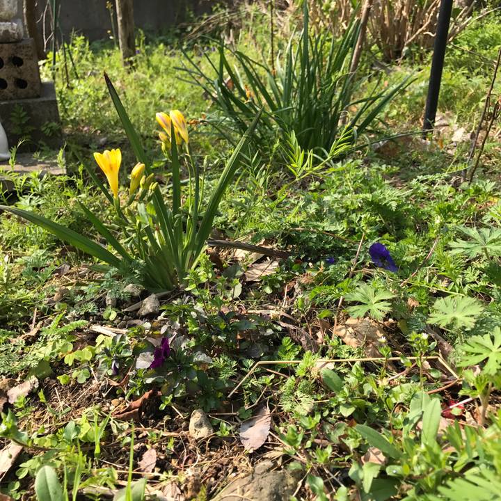 C942aa85 a6cc 46fb 969b cb48dc4b2b5a