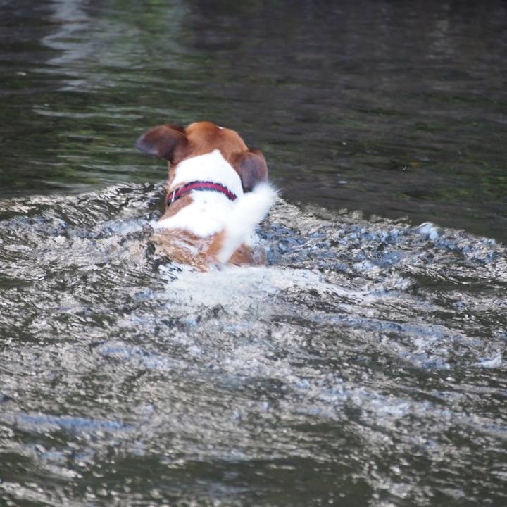 C942e75c b8f1 453b 8fd5 166e7837a15b