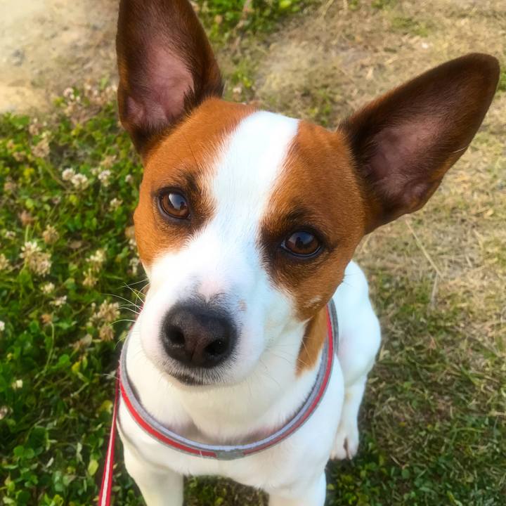 C94358a5 f6d4 481a 88fd 93f2b9a8f0b6