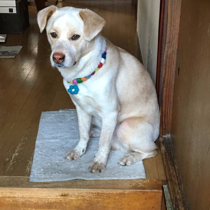 C9437a4a 4fee 414f a129 b70a5d166028