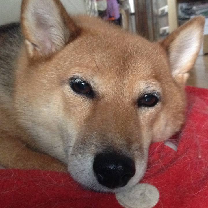 C944719e e3dd 47d3 8cc6 5ee77b068549