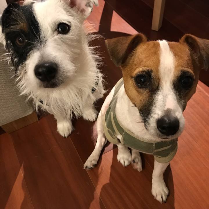 C9449f4e 322c 4cb0 acfd 95a5ba881911