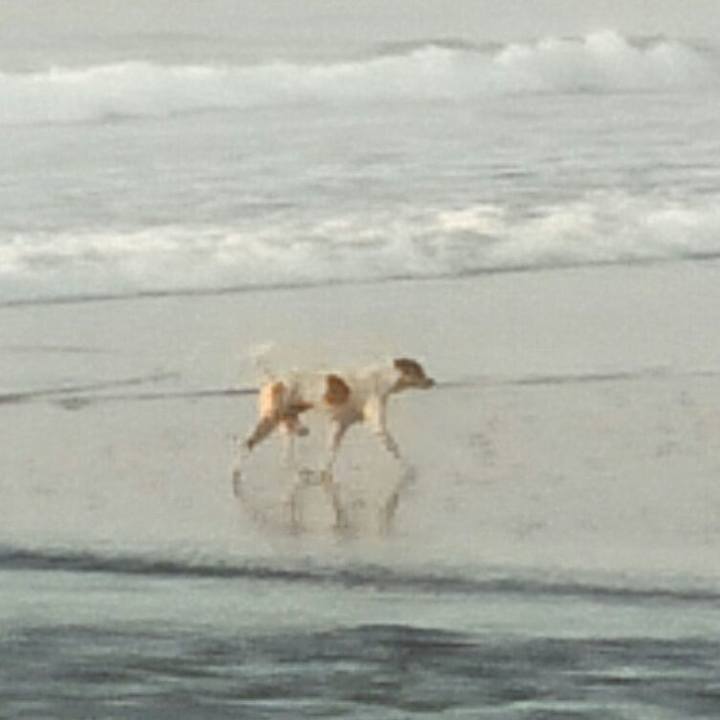 C944c488 d504 4d0a 8900 6ab17bc5e2b2