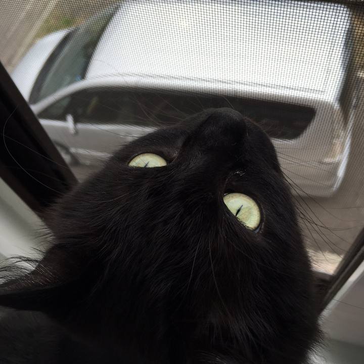 C945b3b3 3def 4d1f 848a 9b69e6a1db3b