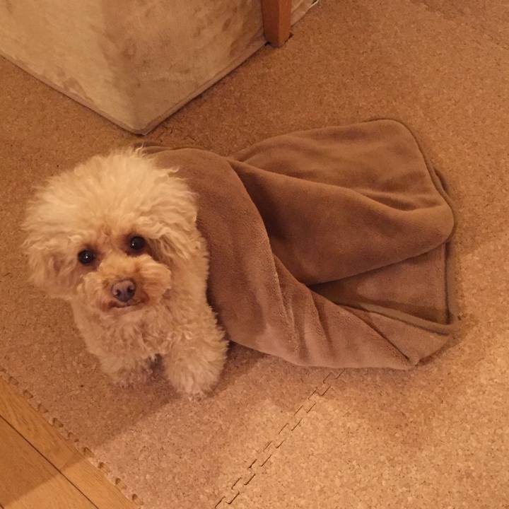 C9463ecf 1e4f 492e ab6c 96278750a07e