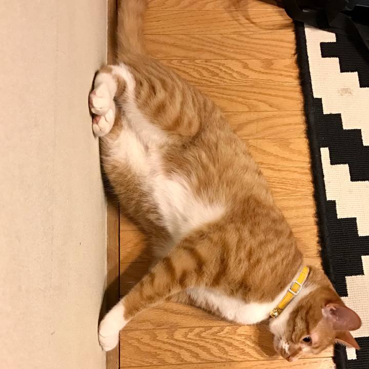 C946f303 4d7c 46fd a1db ce12e885db9f