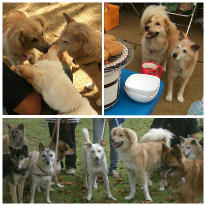 C947582c 870b 471c ae20 db9aeca054b1