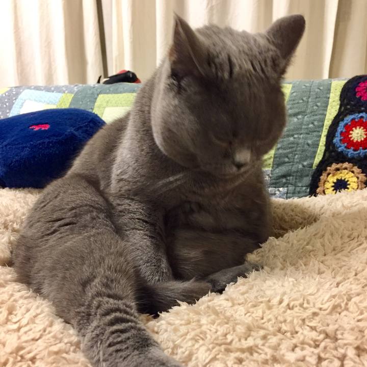 C947c463 df06 4898 b404 2f7cca5994a6