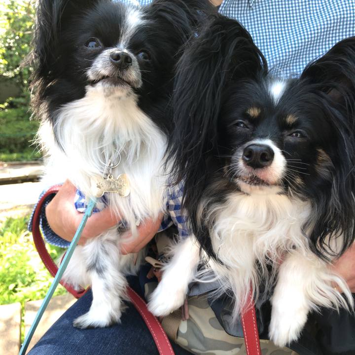 C947c9d3 90c3 4070 a7bc 2209b784caf5