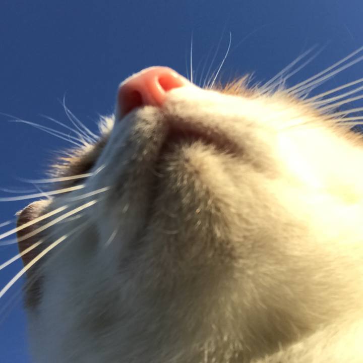 C947fc42 f308 45a2 8020 b5703f97f742